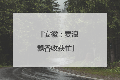 安徽：麦浪飘香收获忙