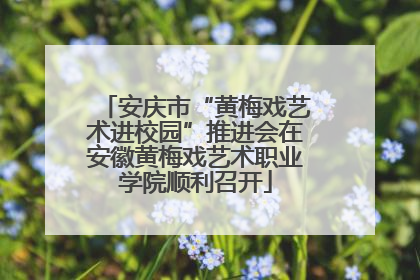 安庆市“黄梅戏艺术进校园”推进会在安徽黄梅戏艺术职业学院顺利召开