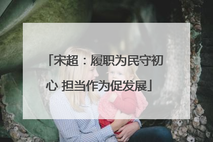 宋超：履职为民守初心 担当作为促发展