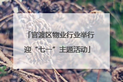官渡区物业行业举行迎“七一”主题活动