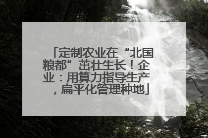 定制农业在“北国粮都”茁壮生长！企业：用算力指导生产，扁平化管理种地