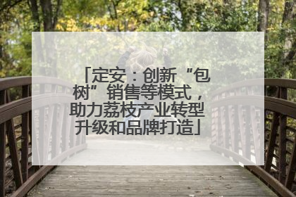 定安：创新“包树”销售等模式，助力荔枝产业转型升级和品牌打造