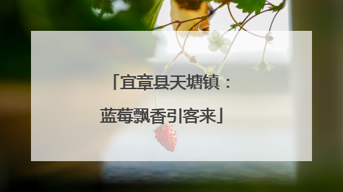 宜章县天塘镇：蓝莓飘香引客来