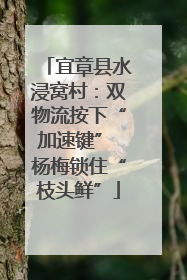 宜章县水浸窝村：双物流按下“加速键” 杨梅锁住“枝头鲜”