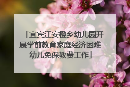 宜宾江安橙乡幼儿园开展学前教育家庭经济困难幼儿免保教费工作