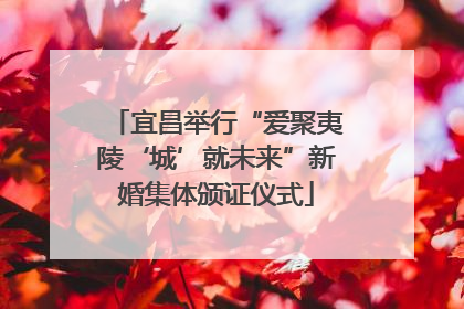宜昌举行“爱聚夷陵‘城’就未来”新婚集体颁证仪式