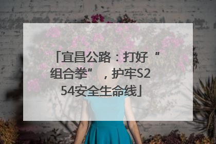 宜昌公路：打好“组合拳”，护牢S254安全生命线