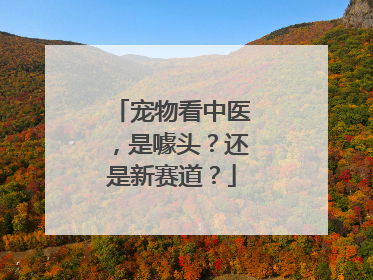 宠物看中医，是噱头？还是新赛道？