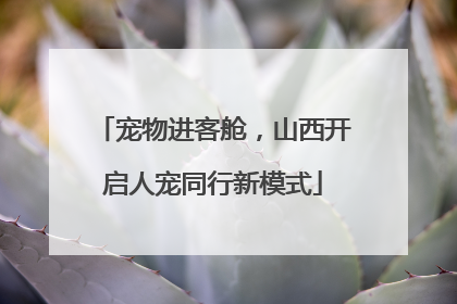 宠物进客舱，山西开启人宠同行新模式