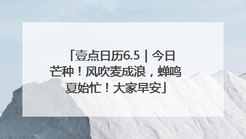 壹点日历6.5｜今日芒种！风吹麦成浪，蝉鸣夏始忙！大家早安