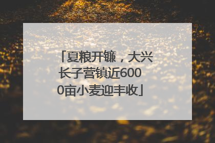 夏粮开镰，大兴长子营镇近6000亩小麦迎丰收
