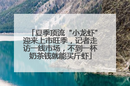夏季顶流“小龙虾”迎来上市旺季，记者走访一线市场，不到一杯奶茶钱就能买斤虾