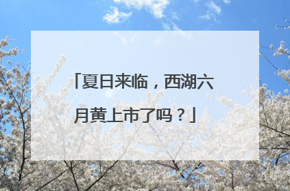 夏日来临，西湖六月黄上市了吗？