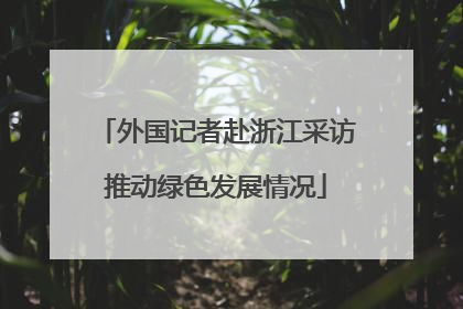 外国记者赴浙江采访推动绿色发展情况