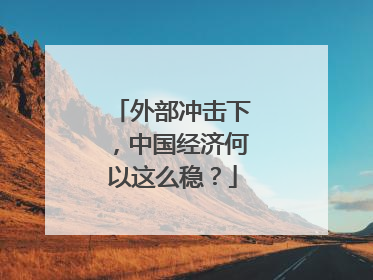外部冲击下，中国经济何以这么稳？