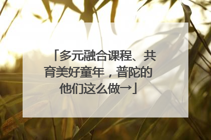 多元融合课程、共育美好童年，普陀的他们这么做→
