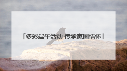 多彩端午活动 传承家国情怀