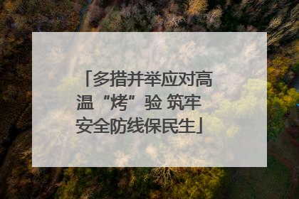 多措并举应对高温“烤”验 筑牢安全防线保民生