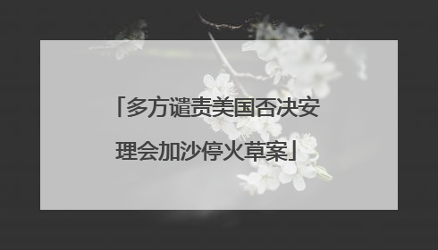 多方谴责美国否决安理会加沙停火草案