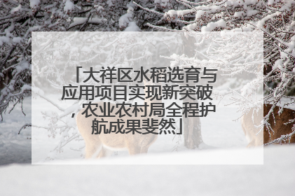 大祥区水稻选育与应用项目实现新突破，农业农村局全程护航成果斐然
