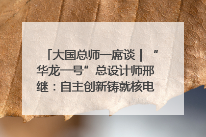 大国总师一席谈｜“华龙一号”总设计师邢继：自主创新铸就核电“国家名片”