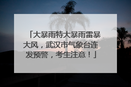 大暴雨特大暴雨雷暴大风，武汉市气象台连发预警，考生注意！