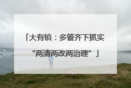大有镇：多管齐下抓实“两清两改两治理”