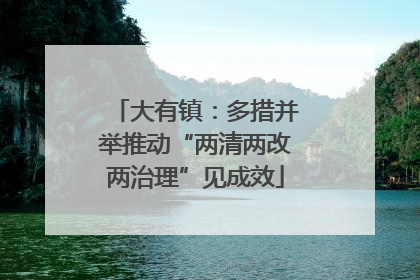 大有镇：多措并举推动“两清两改两治理”见成效