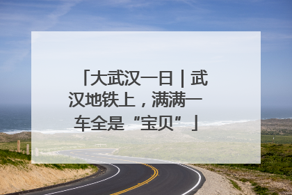 大武汉一日｜武汉地铁上，满满一车全是“宝贝”