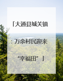 大通县城关镇：万余村民迎来“幸福田”