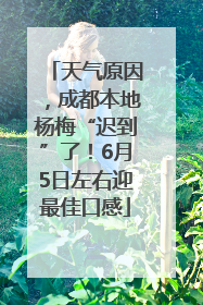 天气原因，成都本地杨梅“迟到”了！6月5日左右迎最佳口感