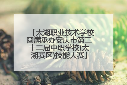 太湖职业技术学校圆满承办安庆市第二十二届中职学校(太湖赛区)技能大赛