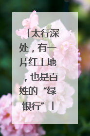 太行深处，有一片红土地，也是百姓的“绿银行”