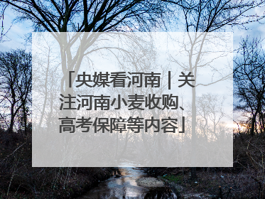 央媒看河南｜关注河南小麦收购、高考保障等内容