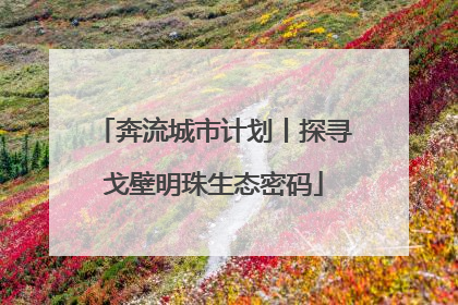 奔流城市计划丨探寻戈壁明珠生态密码