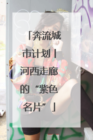 奔流城市计划丨河西走廊的“紫色名片”