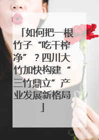 如何把一根竹子“吃干榨净”？四川大竹加快构建“三竹鼎立”产业发展新格局