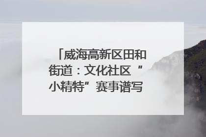 威海高新区田和街道：文化社区“小精特”赛事谱写文化赋能新乐章