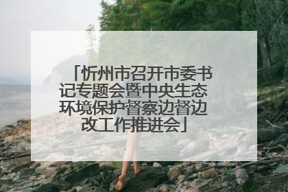 忻州市召开市委书记专题会暨中央生态环境保护督察边督边改工作推进会
