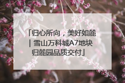 归心所向，美好如麓｜雪山万科城A7地块归麓园品质交付