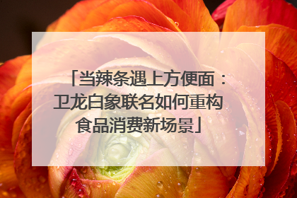 当辣条遇上方便面：卫龙白象联名如何重构食品消费新场景
