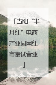 当阳“半月红”电商产业园网红市集试营业