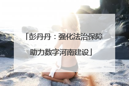 彭丹丹：强化法治保障 助力数字河南建设