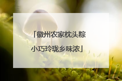 徽州农家枕头粽 小巧玲珑乡味浓