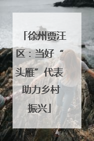 徐州贾汪区：当好“头雁”代表 助力乡村振兴