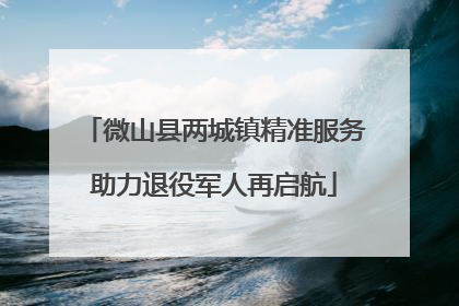 微山县两城镇精准服务助力退役军人再启航