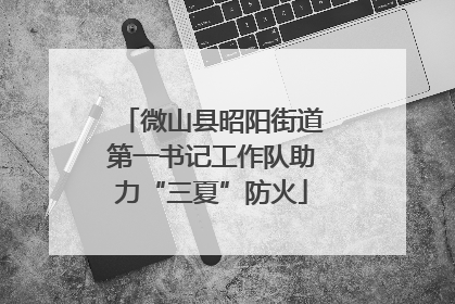 微山县昭阳街道第一书记工作队助力“三夏”防火