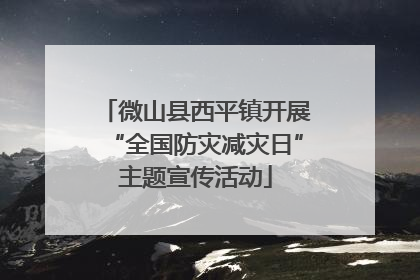 微山县西平镇开展“全国防灾减灾日”主题宣传活动