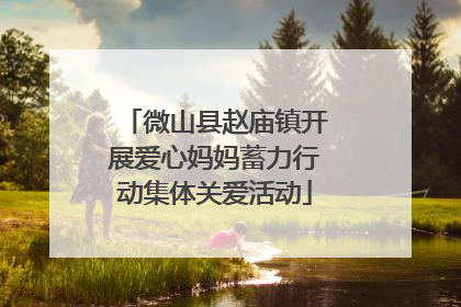 微山县赵庙镇开展爱心妈妈蓄力行动集体关爱活动