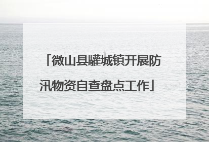 微山县驩城镇开展防汛物资自查盘点工作